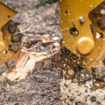 Stump Grinding - SlopePro