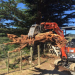 Land Clearing - SlopePro